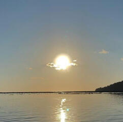 heart stealers and wreckers